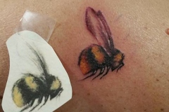 12509885_1737826353118129_3385879841833705941_n