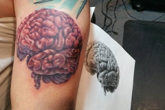 12592739_1740155236218574_5811122788520252139_n