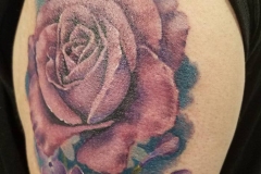 17800188_1944127845821311_3409896128963267038_n