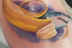bananashark2