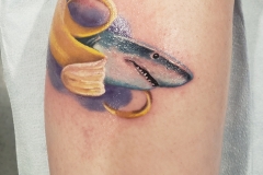 bananashark3