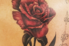 katieroses2