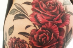 katieroses3