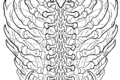 Untitled Artwork